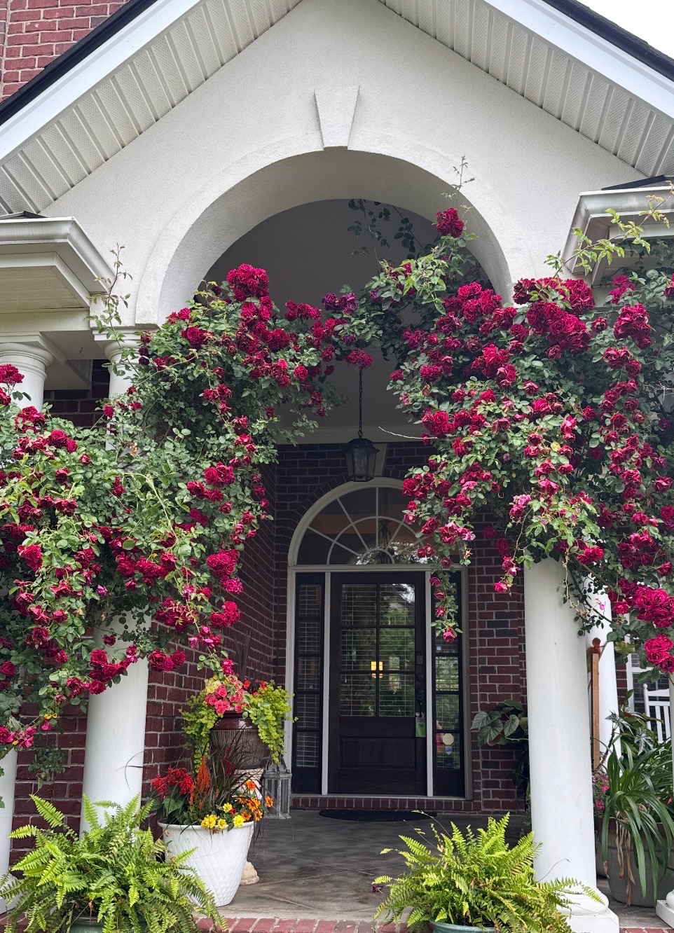 Rose-covered Southern porch entrance
